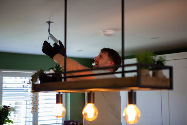 Best Electrical System Inspection  in Camden, AL